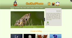 Desktop Screenshot of ouiouiphoto.fr